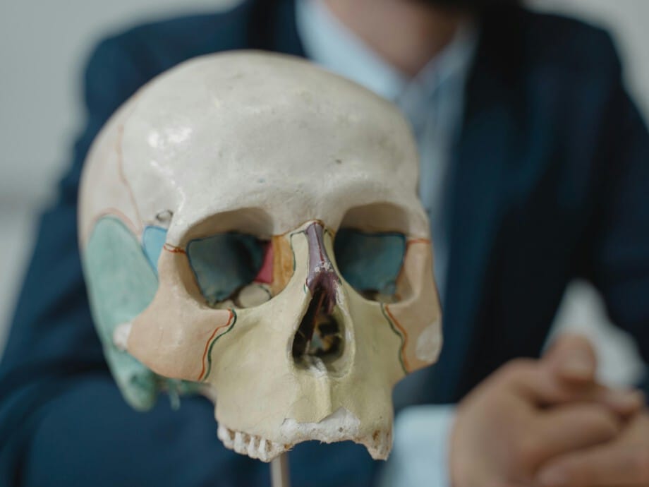 Human skull used for learning in classroom.